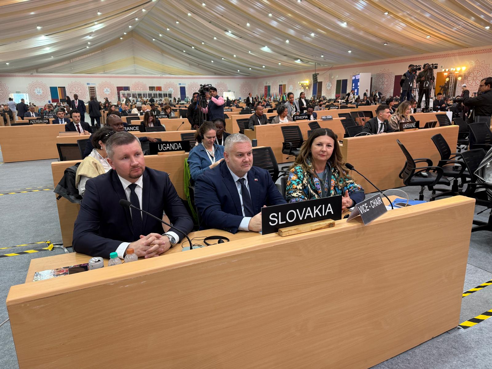 Slovensko sa ako podpredsednícka krajina prestížneho Medzivládneho výboru UNESCO na ochranu nehmotného kultúrneho dedičstva aktívne podieľa na formovaní medzinárodných politík v oblasti živého dedičstva