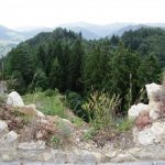 Hrad Lietava